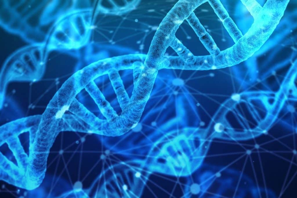 is addiction genetic or is addiction in your dna - bluffsrehab.com