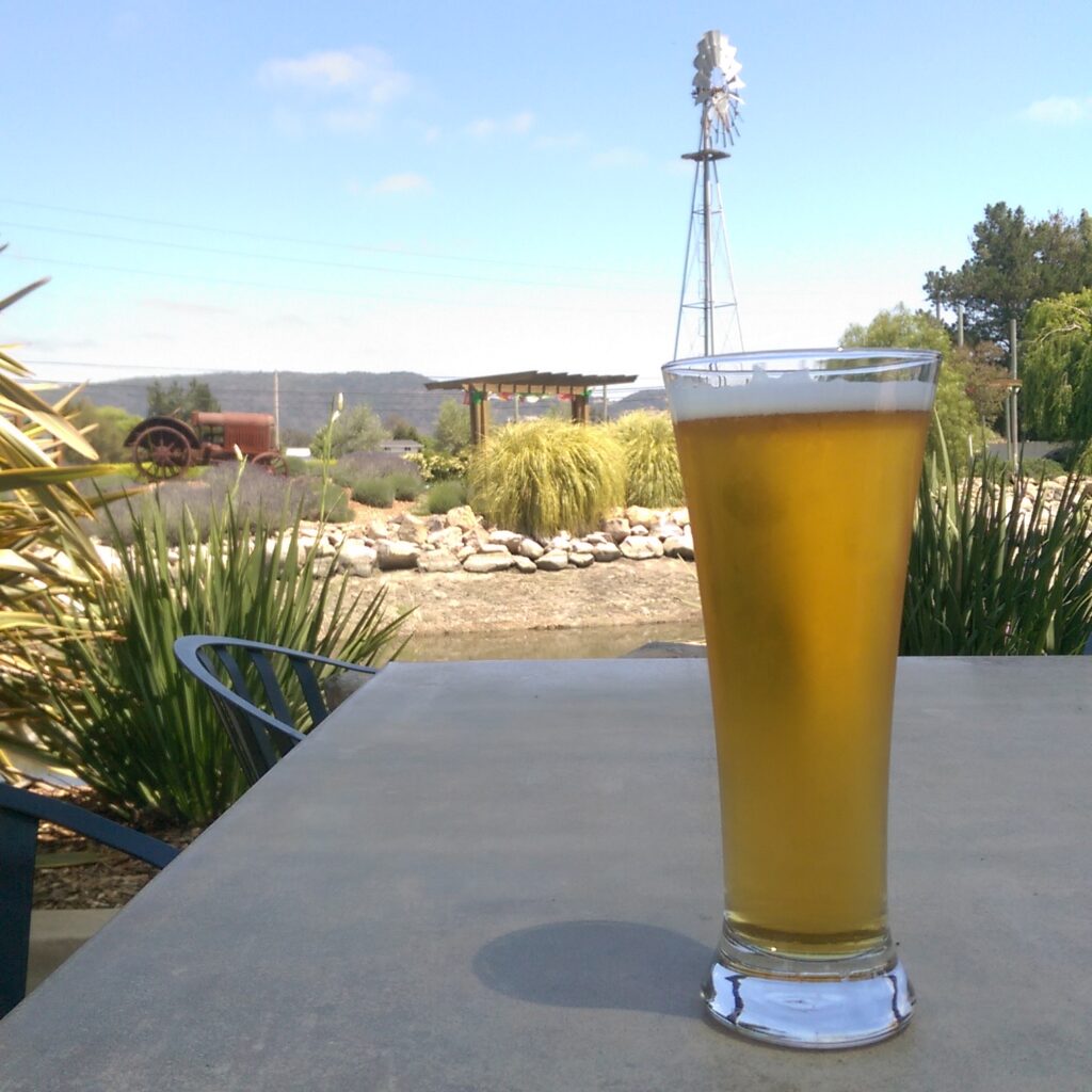 A pint of beer at a brewery The Bluffs Addiction Campuses