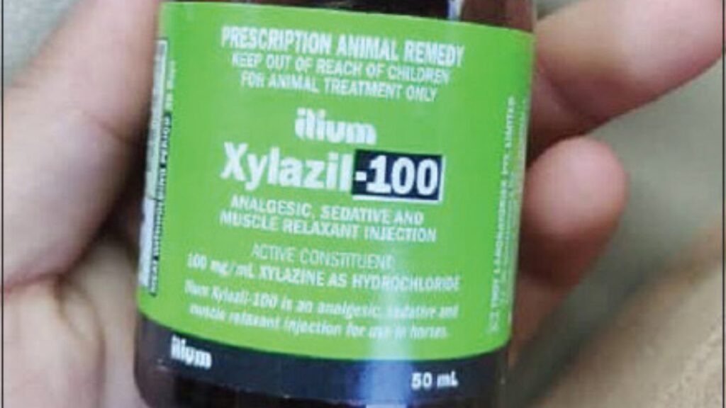 Bottle of xylazine aka tranq for vet purposes