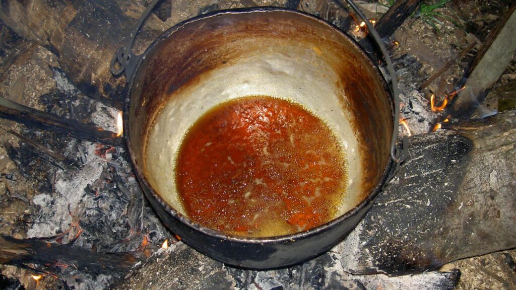 Ayahuasca after being boiled down in a pot