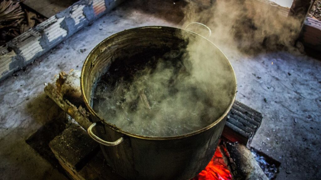Ayahuasca being prepared in South America