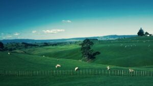 Shot of a rural getaway, similar to what Pittsburg residents will get when making the trek to a rehab in Ohio.